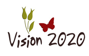 Vision 2020