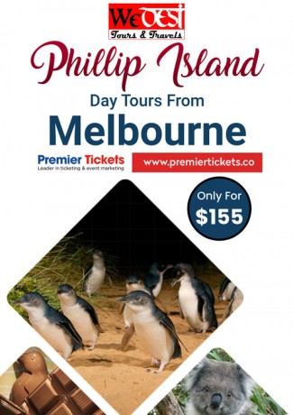 Phillip Island Day Tour Including Lunch and Refreshments - 11 Jan