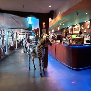 daHa Bar, Lounge & Club