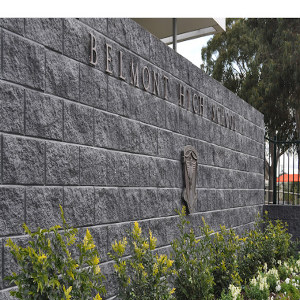 Belmont High School