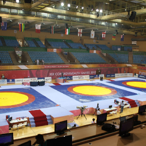 K D Jadhav Wrestling Stadium (IGI Indoor Stadium)