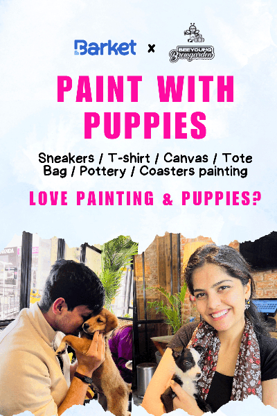 Paint with Puppies 8th June 2025